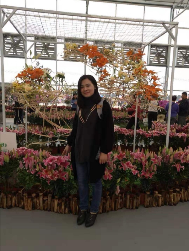 紫苏的第二张照片--福州相亲服务中心