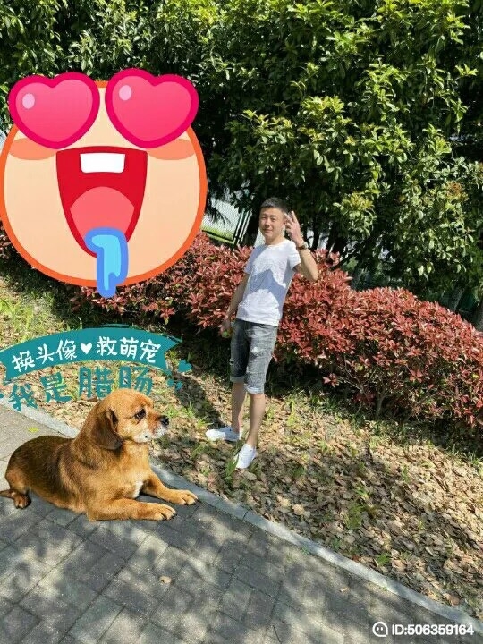 我若不坚强谁替我勇敢的第一张照片--福州相亲服务中心