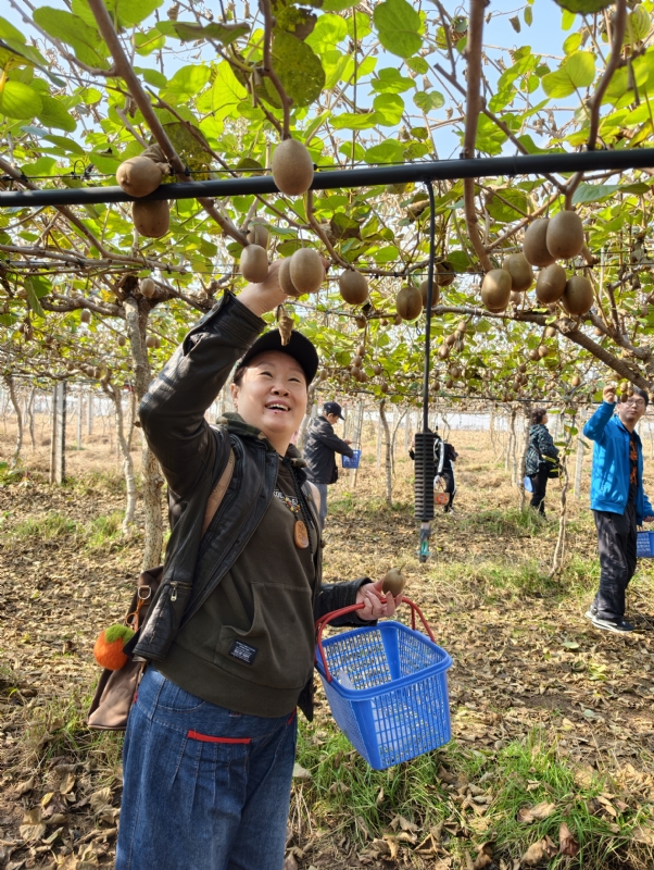夜莺的第三张照片--福州相亲服务中心